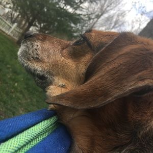 Meet your Posher, Kylie